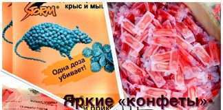 Брикетная отрава для крыс — не конфеты!