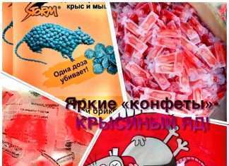 Брикетная отрава для крыс — не конфеты!