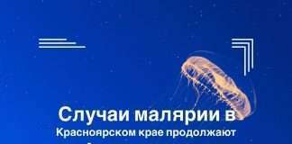 Зарегистрирован третий случай завозной тропической малярии на территории Красноярского края.