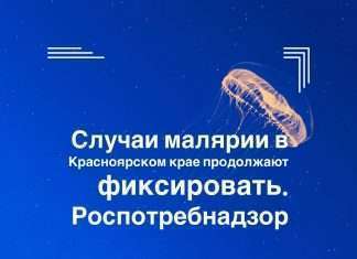 Зарегистрирован третий случай завозной тропической малярии на территории Красноярского края.