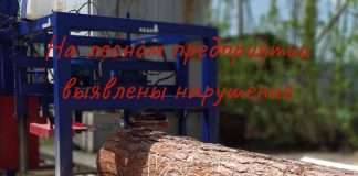 На лесном предприятии в посёлке Октябрьский выявлены нарушения.