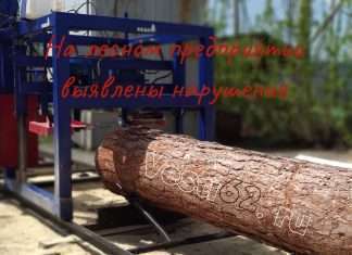 На лесном предприятии в посёлке Октябрьский выявлены нарушения.