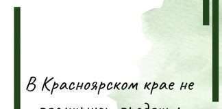 В Красноярском крае не планируют продлить период вынужденных выходных, которые объявил президент РФ.