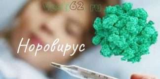 Норовирус в Красноярском крае.