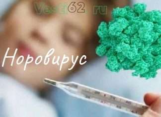 Норовирус в Красноярском крае.