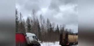 Госавтоинспекторы спецроты ГУ МВД России по краю помогли большегрузу.