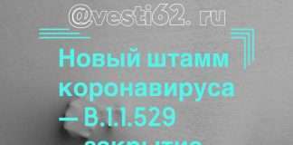 Из — за нового штамма COVID-19 Россия закрывает границы с десятью странами.