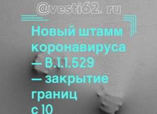Из — за нового штамма COVID-19 Россия закрывает границы с десятью странами.