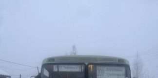 Прокуратура Красноярского края организовала проверку, связанную со съездом в кювет автобуса с пассажирами в Кежемском районе.