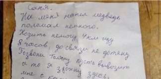 В Богучанском районе раненый медведем охотник месяц ждал помощи в тайге.