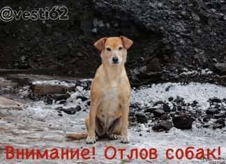УВАЖАЕМЫЕ ЖИТЕЛИ БОГУЧАНСКОГО РАЙОНА!