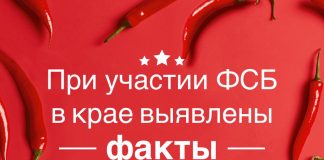 Благодаря вмешательству ФСБ в крае удалось выявить дела в отношении 15 бывших сотрудников МВД края.