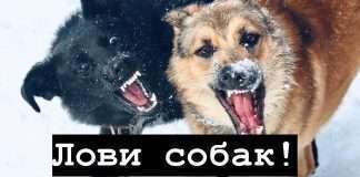 Внимание!