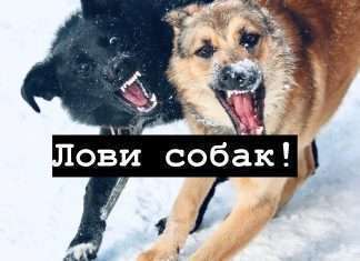 Внимание!