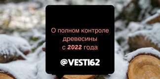 От делянки до пункта переработки. С 2022 года можно будет отследить движение древесины.