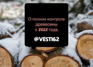 От делянки до пункта переработки. С 2022 года можно будет отследить движение древесины.