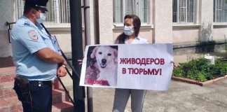 Богучанских живодёров отправят за решётку.