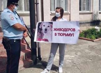 Богучанских живодёров отправят за решётку.