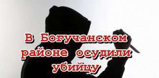 В Богучанском районе осудили убийцу, который жестко расправился с сожительницей.