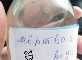 Народный целитель из Хакасии лечил людей мёртвой водой, кабачками, магнитами и борщом.