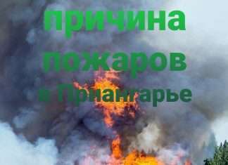 Одна из причин пожаров при лесозаготовках в Приангарье? Информация появилась в отраслевом журнале «Форесткомплекс».
