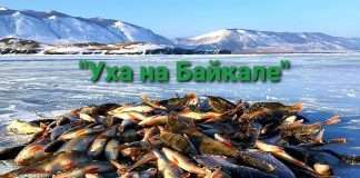 Рыбаки из Красноярского края примут участие фестивале «Байкальская рыбалка 2022» !