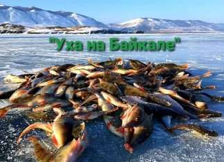 Рыбаки из Красноярского края примут участие фестивале «Байкальская рыбалка 2022» !