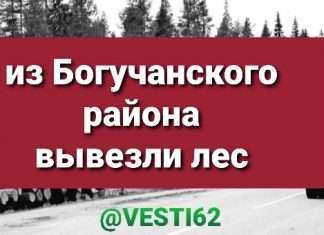 Коммерсант незаконно вывез 50 тысяч кубометров леса из Богучанского района, за что отделался «лёгким испугом».