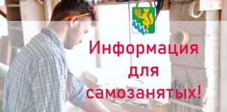 Поддержка индивидуальной предпринимательской инициативы