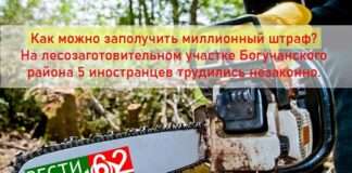 Как можно заполучить миллионный штраф? На лесозаготовительном участке Богучанского района 5 иностранцев трудились незаконно.