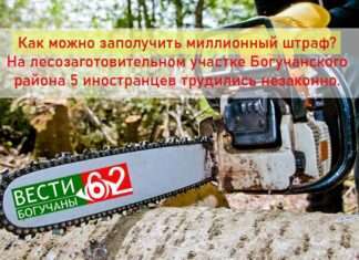 Как можно заполучить миллионный штраф? На лесозаготовительном участке Богучанского района 5 иностранцев трудились незаконно.