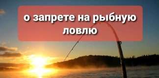 С 20 апреля 2022 года по 20 июня будет действовать запрет на рыбную ловлю на акватории Богучанского района!