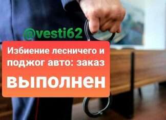 Избиение лесничего и поджог внедорожника.