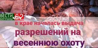 В крае начинается выдача разрешений на весеннюю охоту.