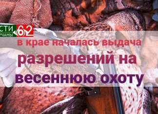 В крае начинается выдача разрешений на весеннюю охоту.