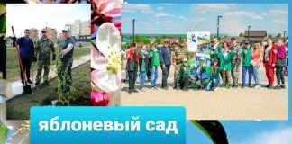 В Таежном появился яблоневый сад.
