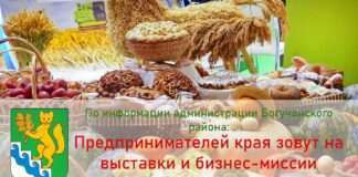 Предпринимателей края зовут на выставки и бизнес-миссии.