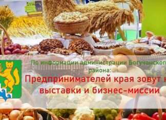 Предпринимателей края зовут на выставки и бизнес-миссии.