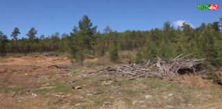 Секрет благоустройства в поселках Гремучий и Красногорьевский.