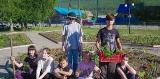 Дом культуры в Богучанах украсит разнообразие цветных растений!