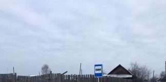 От мешкового сбора отходов к контейнерному!