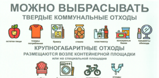 Пора субботников: какие отходы отправляем в бак, а чему там не место?
