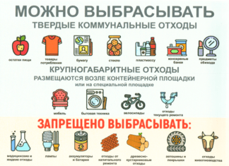 Пора субботников: какие отходы отправляем в бак, а чему там не место?