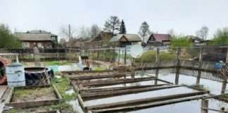 В Богучанах подземные воды продолжают подтапливать жилые кварталы.