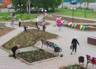 На площади районного Дома культуры в Богучанах высадили цветы.