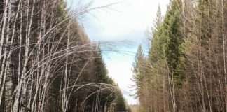 О предстоящих планах: автодорога Богучаны – Манзя.