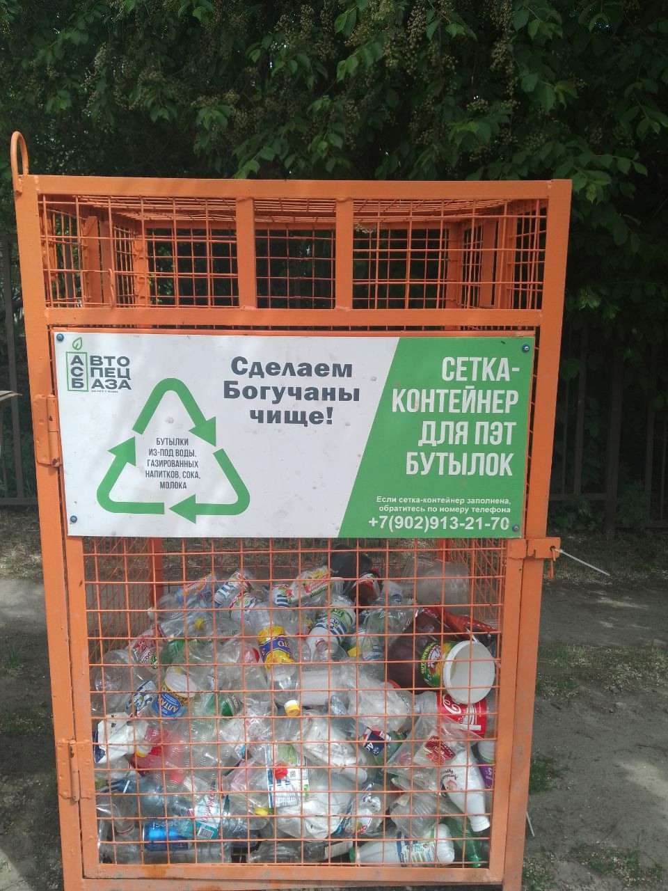 сетка1
