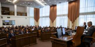 Новый закон об обращении с животными в Красноярском крае принят сегодня