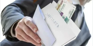 По результатам прокурорской проверки в Богучанском округе восстановлены права 96 работников предприятия лесной отрасли на своевременное получение заработной платы.
