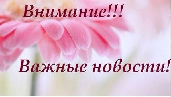 fS3zO_92rpzScwIfbPQ_T51iKBOqdMj55yuQitxkVlBbZc7_hJDzUoic9Es_w0I8-CCw9OhOf6hqBGSMmyvvRtKu